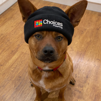Chester