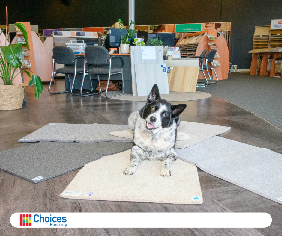 Busselton Showroom